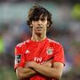 João Félix, o menino 126 milhões do Atlético de Madrid