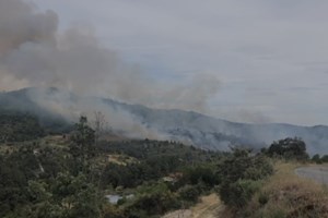 Incêndios: Fogo em Carrazeda de Ansiães combatido por 66 operacionais e cinco meios aéreos