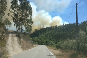 Incêndios: Pedida indemnização de 1,8 ME a favor do Estado por fogo em Monchique
