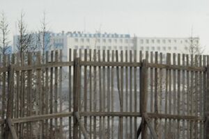 Urso polar faminto aparece em cidade industrial da Sibéria à procura de comida