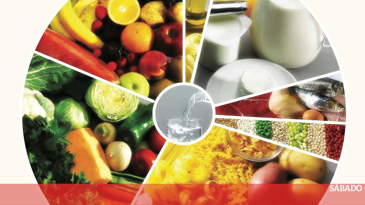 Roda Dos Alimentos Portuguesa Vai Ser Revista Última Hora SÁbado 8569