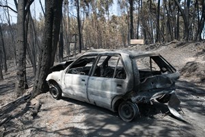 Pedrógão Grande: Ex-presidente da Associação das Vítimas critica atuação da câmara