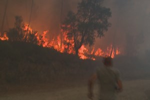 Pedrógão Grande: Autarca de freguesia diz que novo incêndio 'será pior' do que em 2017