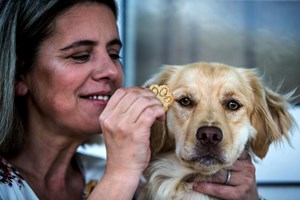 Doença da cadela Amélia inspirou pequeno negócio de biscoitos nos Açores
