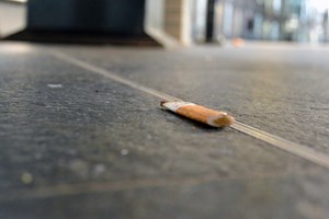 Multas aumentam daqui a seis meses. Da beata no chão ao sal a mais no pão