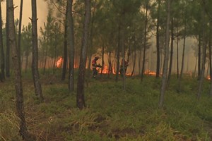 Praia fluvial em Vila de Rei evacuada por precaução e por causa do fumo