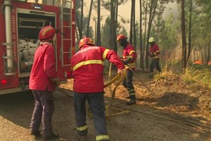 Quatro bombeiros feridos no incêndio da Sertã e Vila de Rei