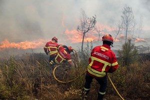 Mação apela a 'reflexão profunda' sobre relatório dos incêndios
