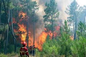 Incêndios: População de Vergão está assustada e preparada para o pior