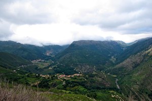 Sete anos de prisão para alemão que algemou e atou compatriota a árvore no Gerês