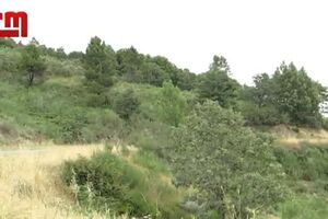 CofinaEditor_2019-07-27_15_40.577524316.mp4