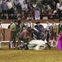 PAN: cavalo de Coruche podia ser salvo?