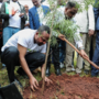 Etiópia bate recorde ao plantar 350 milhões de árvores em 12 horas