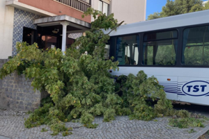 Autocarro sem condutor abalroa seis carros em Setúbal