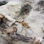 Arqueólogos descobrem ossos de 227 crianças sacrificadas no Peru