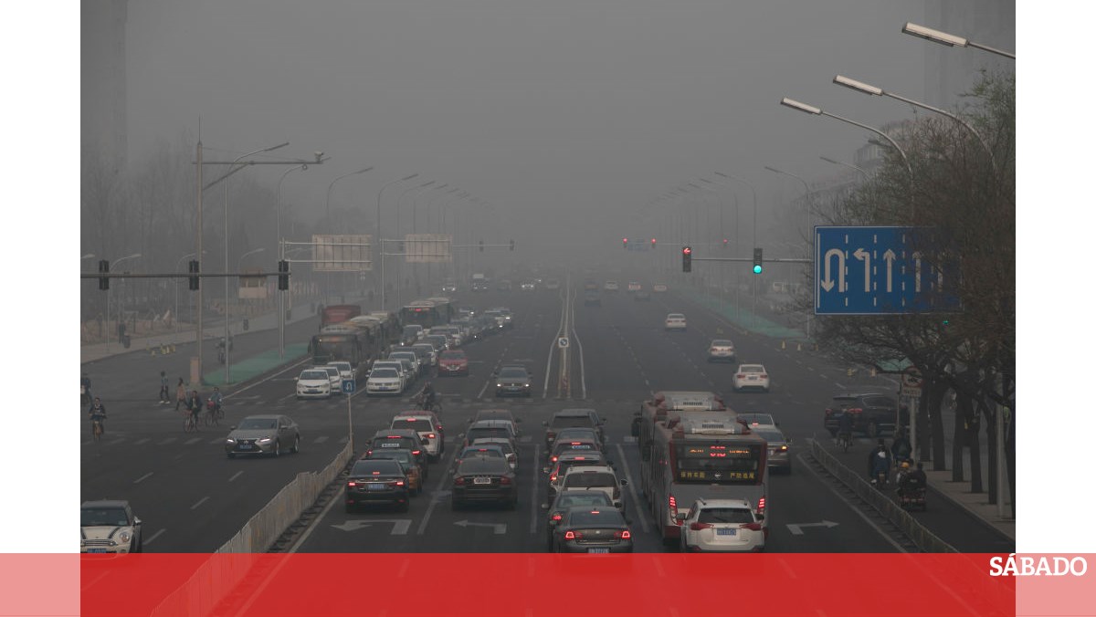 Processar dados na China polui tanto como 21 milhões de carros - Ciência &  Saúde - SÁBADO