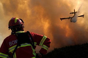 Investigação conclui que combate a incêndios 'não resolve problema'