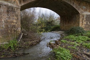 Território português contaminado com 'produtos químicos eternos'