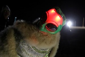 Todos estão a preparar-se para invadir a Área 51