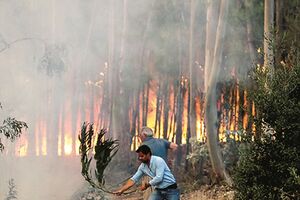 Incêndio Aveiro