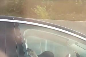 Lkupgp49-1NWKomn.mp4