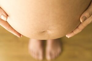 comunistas, pma, barrigas de aluguer