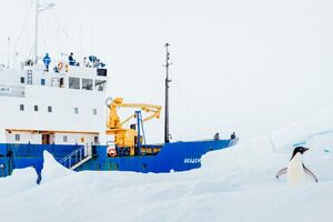 Antártica, quebra-gelo, expedição, cientistas, navio encalhado
