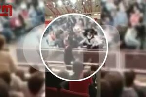 CofinaEditor_2019-09-28_22_25.547711392.mp4