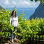 Ilha: vinhos diferentes, feitos na Madeira