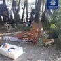 Pais deixam filhos com sem-abrigo para poderem 'descansar'