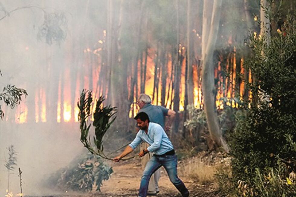 Incêndios regressam ao concelho de Aveiro