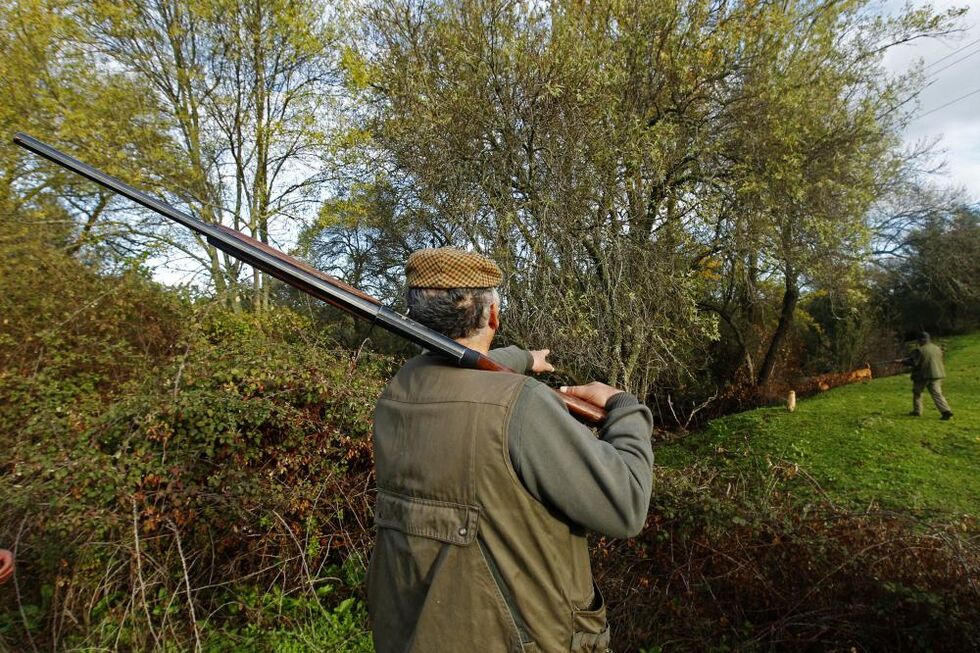 Governo simplifica acesso à carta de caçador e atualiza o regime da caça em Portugal