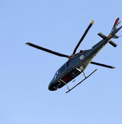 Homens armados invadiram navio ao largo do Algarve. Reféns foram libertados