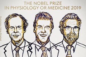 Nobel da Medicina para investigação sobre reação das células ao oxigénio