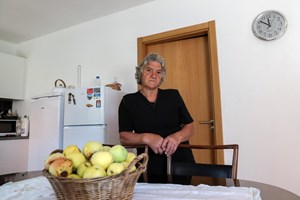 Incêndios de 2017: 'Gosto da minha casa. Falta-me cá é a minha primeira companhia'