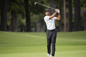 tiger woods