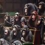 Venda de obra de Banksy com chimpanzés no parlamento bate recorde