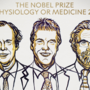 Nobel da Medicina para investigação sobre reação das células ao oxigénio