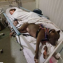Cadela não sai de cama de hospital após salvar dona