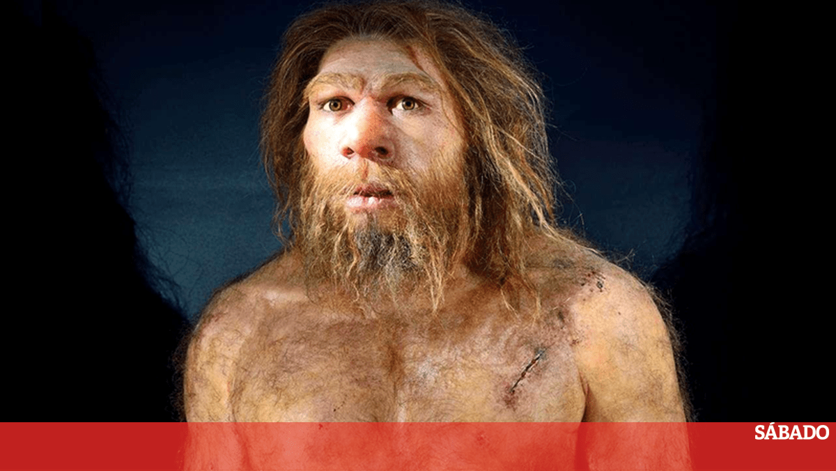 Los primeros bebés entre humanos y neandertales nacieron hace 47 mil años – Ciencia y Salud