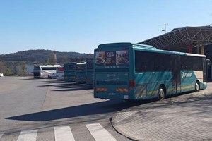 Covid-19: Transporte rodoviário pede prolongamento do lay-off para 9 meses