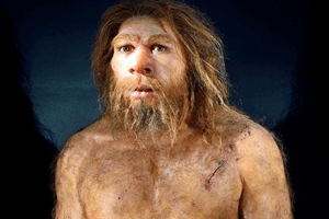 Novo estudo põe em causa teoria de Neandertais serem enterrados com flores