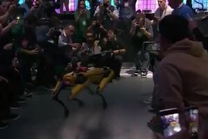 SH6gxBJhVs7yFz66.mp4