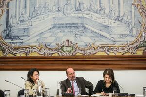 Matos Fernandes parlamento