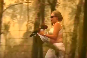 Animal foi salvo por uma mulher das chamas na Austrália	