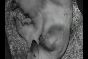 Untitled Project ‐ Made with Clipchamp (4).mp4