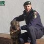 GNR recupera cão desaparecido há um ano 