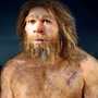 Primeiros bebés entre humanos e neandertais nasceram há 47 mil anos