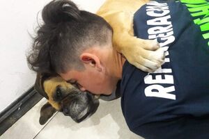 cão esquel argentina