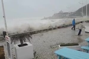 getfvid_81556256_1285322178322336_1657755576941150208_n.mp4